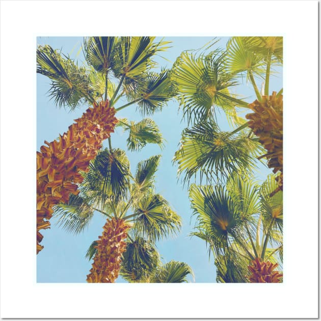 Pretty picture of a Palm Tree. Pretty Palm Trees Photography design with blue sky Wall Art by BoogieCreates